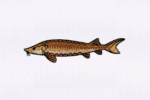 Brown Fish Design: A Seasonal Embroidery Review