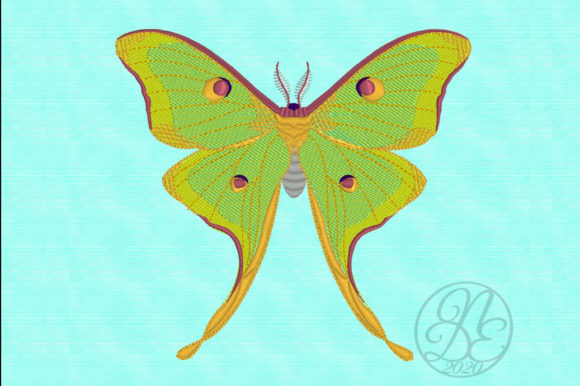 Luna Moth - ITH: A Designer’s Review for Small Business Merch
